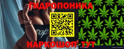 прущие грибы Бугуруслан