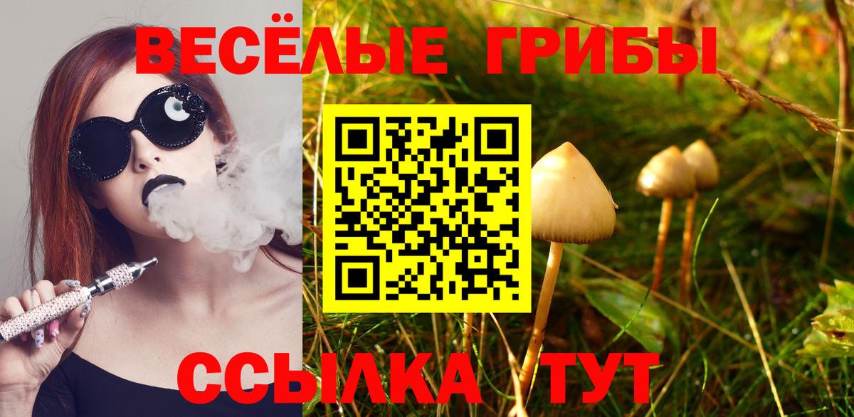 Псилоцибиновые грибы MAGIC MUSHROOMS Сосновоборск