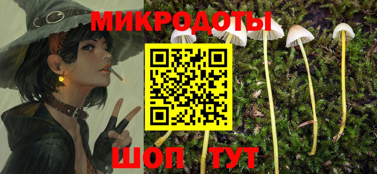 Сосновоборск  Галлюциногенные грибы мухоморы  Галлюциногенные грибы мицелий  Вход с VPN 